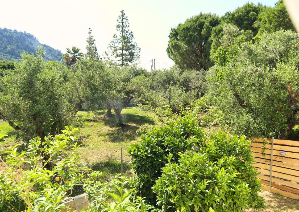 Aerino Villa Gaitani Bagian luar foto